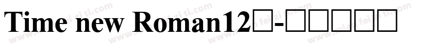 Time new Roman12号字体转换
